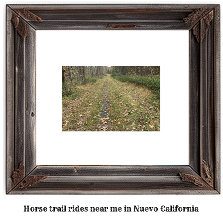 horse trail rides near me in Nuevo, California